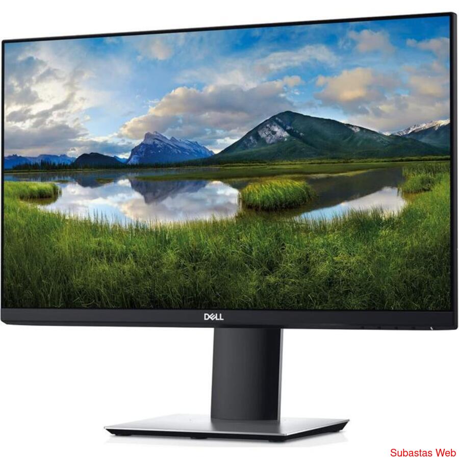 Monitor LED Dell 23 Pulgadas P2319H (HDMI - D.Port - VGA)