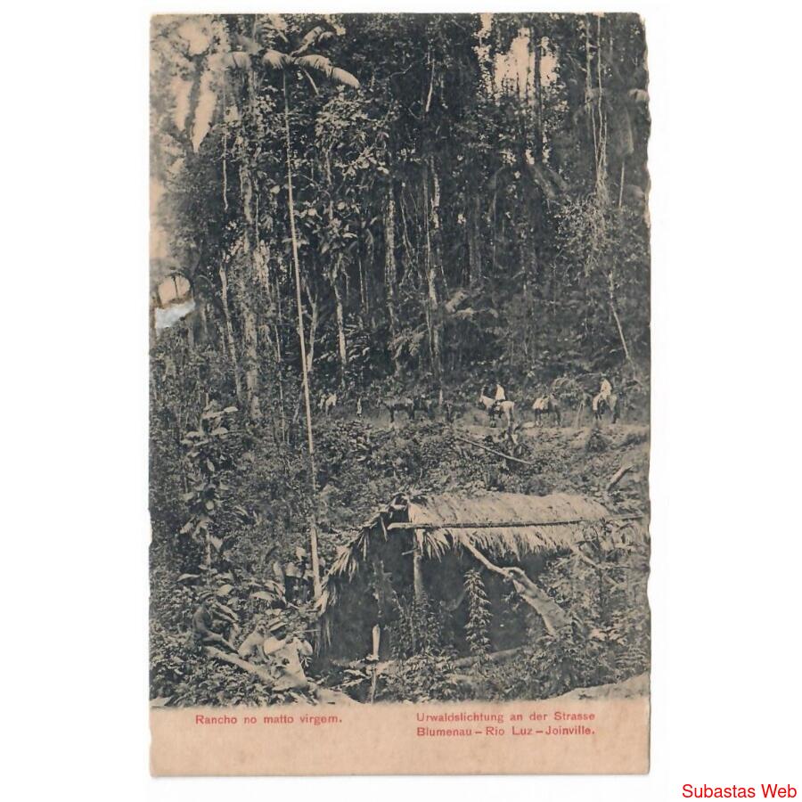 BRASIL • Rancho en la selva virgen • 1909