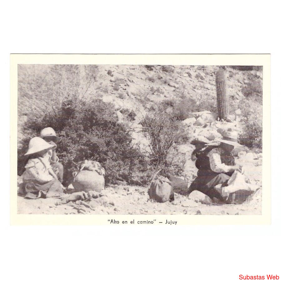 ARGENTINA. Jujuy. Alto en el camino.