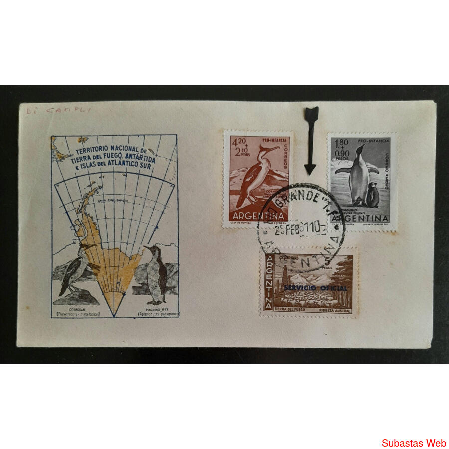 ARGENTINA ZONA AUSTRAL SOBRE ILUSTRADO MATASELLO RIO GRANDE