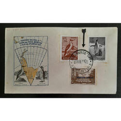 ARGENTINA ZONA AUSTRAL SOBRE ILUSTRADO MATASELLO RIO GRANDE