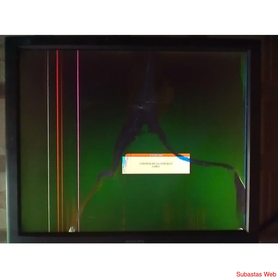 Monitor Philips 190b6 pantalla rota 19 pulgadas