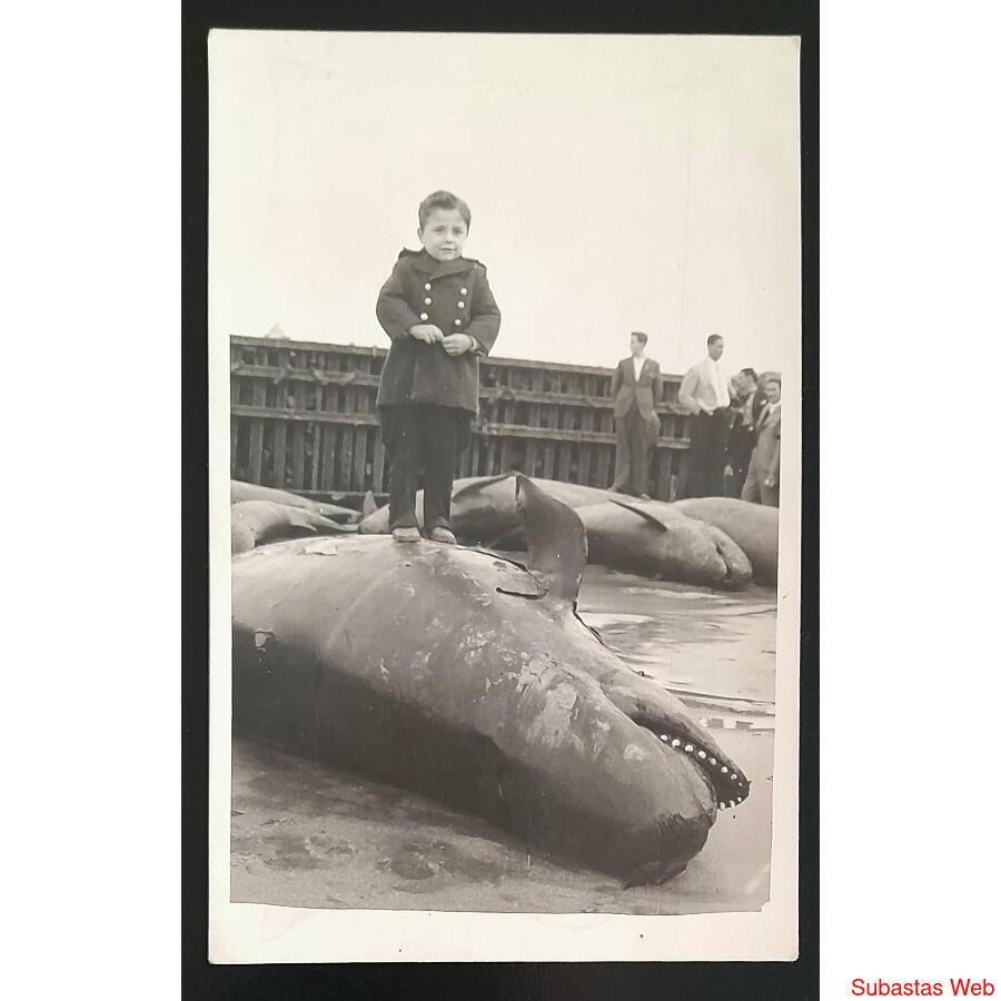 NIÑO PARADO ARRIBA DE UNA BALLENA. ANTIGUA Y RARA POSTAL!!!!