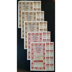 ARGENTINAS 5 ACCIONES AL PORTADOR DE AUTO UNIÓN - DKW. LUJO!